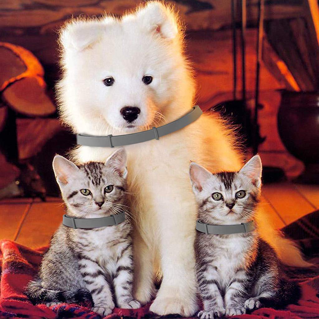 Fur LYF - Tick & Flea Free Collar - India Ease