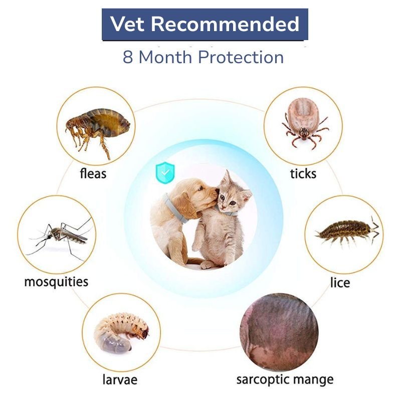 Fur LYF - Tick & Flea Free Collar - India Ease